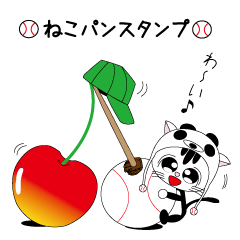 Lovely cat punch of a baseball cat panda