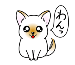 Bijomen Z sticker #6897150