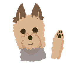 GET YORKIER!! sticker #6901272