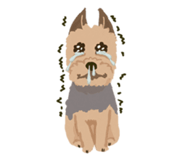 GET YORKIER!! sticker #6901275