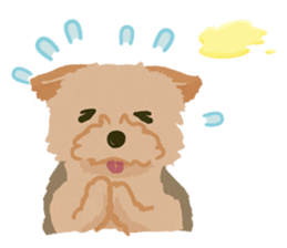 GET YORKIER!! sticker #6901276