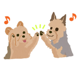 GET YORKIER!! sticker #6901278