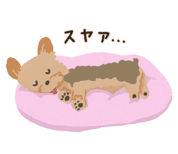 GET YORKIER!! sticker #6901279