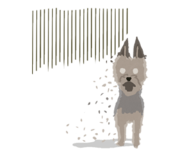 GET YORKIER!! sticker #6901284