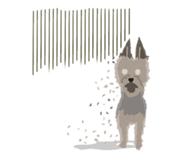 GET YORKIER!! sticker #6901284