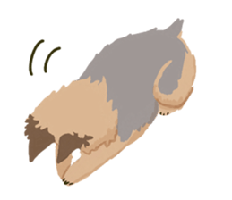 GET YORKIER!! sticker #6901285