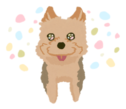 GET YORKIER!! sticker #6901286