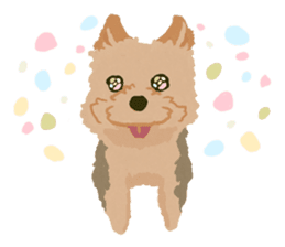 GET YORKIER!! sticker #6901286