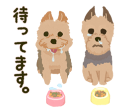 GET YORKIER!! sticker #6901289