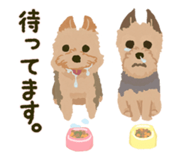 GET YORKIER!! sticker #6901289