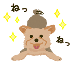 GET YORKIER!! sticker #6901291