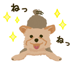 GET YORKIER!! sticker #6901291