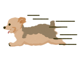 GET YORKIER!! sticker #6901292