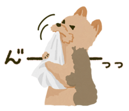 GET YORKIER!! sticker #6901294