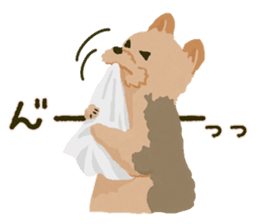 GET YORKIER!! sticker #6901294