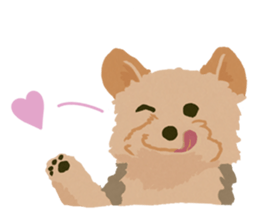 GET YORKIER!! sticker #6901295