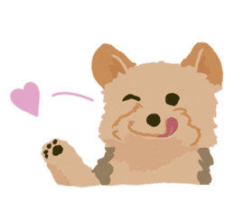 GET YORKIER!! sticker #6901295