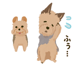 GET YORKIER!! sticker #6901297