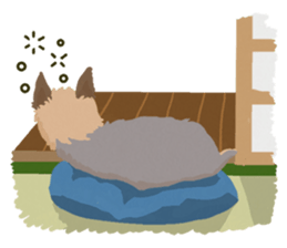 GET YORKIER!! sticker #6901298