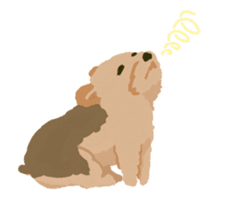 GET YORKIER!! sticker #6901302