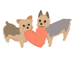 GET YORKIER!! sticker #6901303