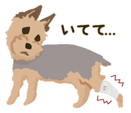 GET YORKIER!! sticker #6901306