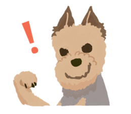 GET YORKIER!! sticker #6901307