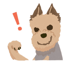 GET YORKIER!! sticker #6901307