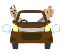 GET YORKIER!! sticker #6901308