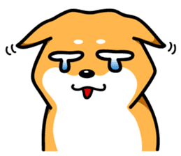 Shiba Inu Genki No.3 sticker #6907395