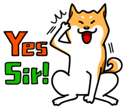 Shiba Inu Genki No.3 sticker #6907402