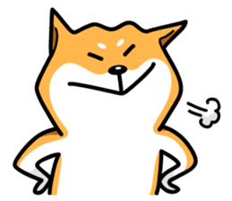 Shiba Inu Genki No.3 sticker #6907403