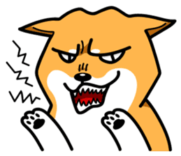 Shiba Inu Genki No.3 sticker #6907422