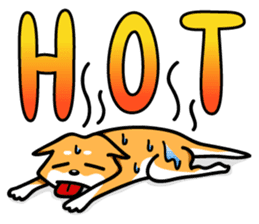 Shiba Inu Genki No.3 sticker #6907426