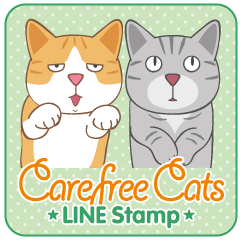 American Shorthair & Red-tabby White Cat