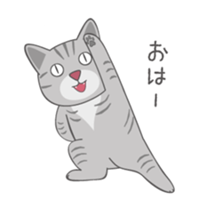 American Shorthair & Red-tabby White Cat sticker #6909313