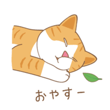 American Shorthair & Red-tabby White Cat sticker #6909314