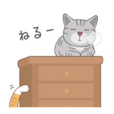 American Shorthair & Red-tabby White Cat sticker #6909315