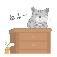 American Shorthair & Red-tabby White Cat sticker #6909315