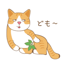 American Shorthair & Red-tabby White Cat sticker #6909317
