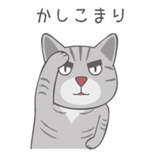 American Shorthair & Red-tabby White Cat sticker #6909322