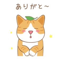 American Shorthair & Red-tabby White Cat sticker #6909325
