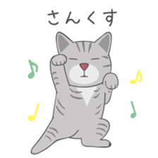 American Shorthair & Red-tabby White Cat sticker #6909326