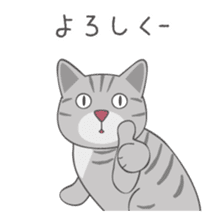 American Shorthair & Red-tabby White Cat sticker #6909327