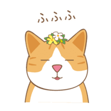 American Shorthair & Red-tabby White Cat sticker #6909328