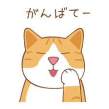 American Shorthair & Red-tabby White Cat sticker #6909329