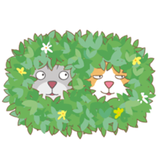 American Shorthair & Red-tabby White Cat sticker #6909330