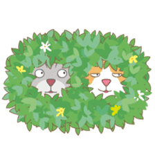 American Shorthair & Red-tabby White Cat sticker #6909330