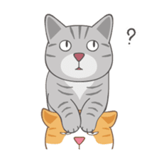 American Shorthair & Red-tabby White Cat sticker #6909332