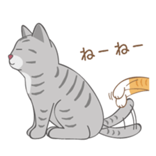American Shorthair & Red-tabby White Cat sticker #6909333
